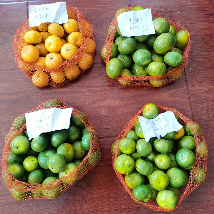 تازه شات Mandarin