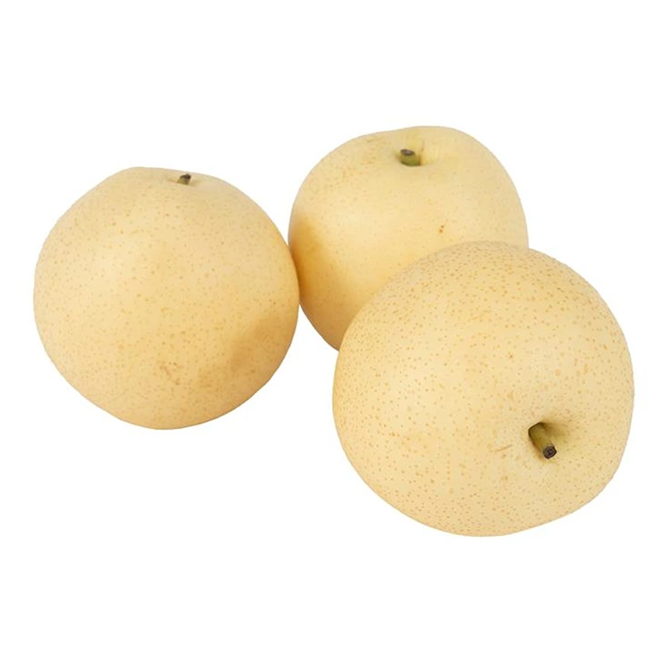 موسمي تاج ناک