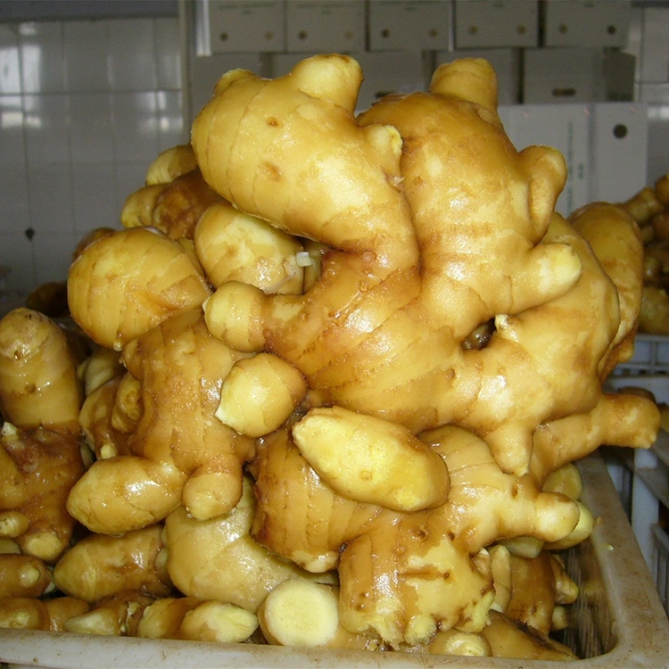 مساله تازه اروماتیک ادرک