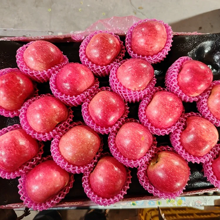 غوره تازه جیګوان مڼې